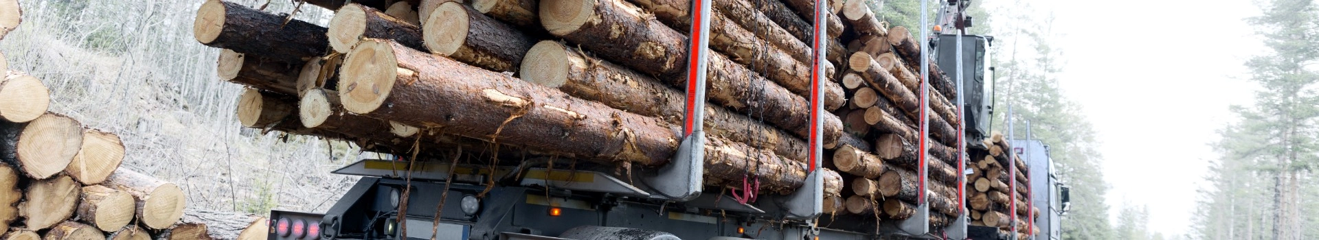 drewno podczas transportu