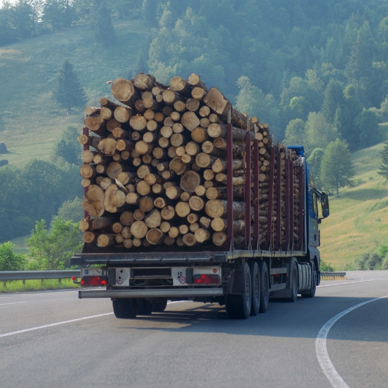 ciężarówka z drewnem